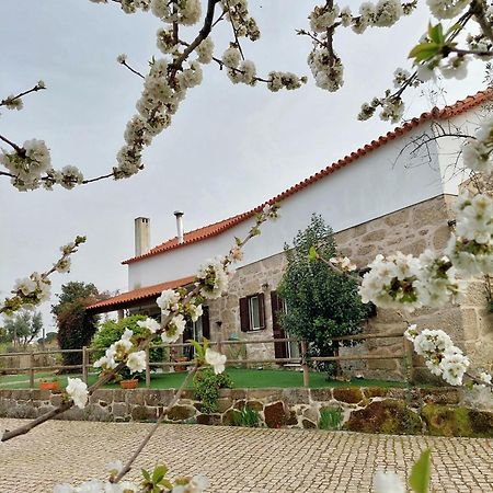 A Casa Do Soito Villa Оливейра ду Оспитал Екстериор снимка